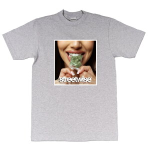 Xg[gCY STREETWISE GREENS S/S TVc GRAY / O[ wr[EFCg  Vc