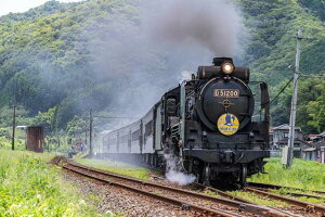 y{i|XgJ[hzRSԗ@C@֎ԁ@SL D51@ photo by daikegoro