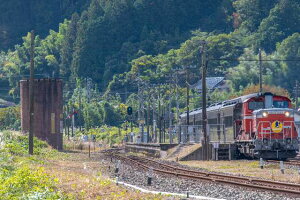 y{i|XgJ[hzR@JR{@D51 DL܂@photo by daikegorotHgJ[hyY2