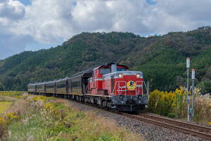 y{i|XgJ[hzR@JR{@D51 DL܂@photo by daikegorotHgJ[hyY3