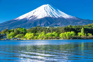 y{̕i|XgJ[hzR͌΂V΂Ɗ̕xmRnKL tHgJ[h yY photo by matya1234's