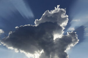 ỹ|XgJ[hzɍLẲ_3ɐLт̂͂nKLt