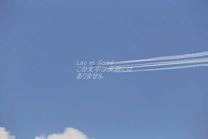 y{̕i|XgJ[hAIRzVhu[CpX5F`ĂtnKL͂ photo by MIRO