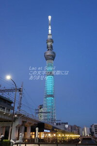 y{̕i|XgJ[hz131-0045 snc扟11|2XJCc[̗tnKL͂ photo by MIRO