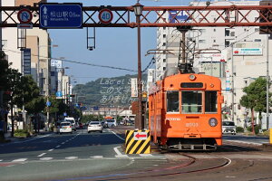 y{̕i|XgJ[hzQRs@ɗ\Sn2000`dԂ̗tnKL͂ photo by MIRO