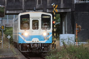 y{̕i|XgJ[hzJRlLn32`CԍSԗ̗tnKL͂ photo by MIRO