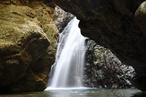 y{̕i|XgJ[hz798-0075 QFastJkJ̗tnKL͂ photo by MIRO