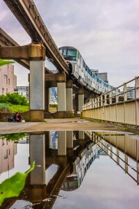 y{̕i|XgJ[hzi𑖂郂m[Ɛ܂̃nKL͂ photo by MIRO