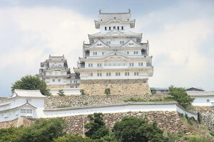 y{̕i^PH̃|XgJ[hzɌPHsPĤ͂nKL20 photo by MIRO