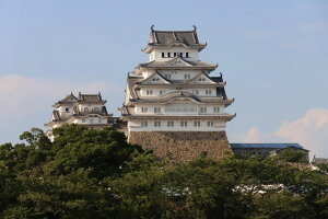 y{̕i|XgJ[hzɌPHsPH26̃nKL͂ photo by MIRO