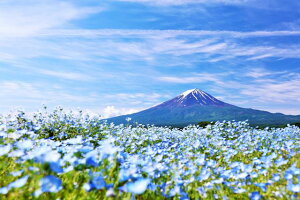 y{̕i|XgJ[hLac et SoleilzxmRƍLȃltB̂͂6nKLt Be/YOSHIO IWASAWA