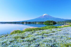 y{̕i|XgJ[hLac et SoleilzxmRƍLȃltB̂͂12nKLt Be/YOSHIO IWASAWA