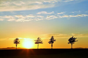 y{̕i|XgJ[hLac et SoleilzkCԑS󒬃w̋u@H̗[̗t1͂nKL Be/YOSHIO IWASAWA