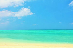 y{̕i|XgJ[hLac et Soleilzꌧ{Ósǁ@rԓ̐ƊC11̂͂nKL Be/YOSHIO IWASAWA