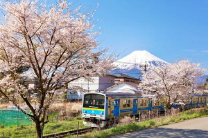 y{̕iS|XgJ[hLac et SoleilzRxm}sxmR[dCS6000nƕxmR3̂͂nKL Be/YOSHIO IWASAWA