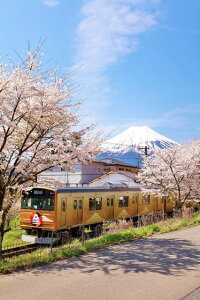 y{̕iS|XgJ[hLac et SoleilzRxmR[dCS6000n̂͂nKL Be/YOSHIO IWASAWA