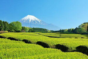 y{̕i|XgJ[hLac et SoleilzÉ@xmRƒ5̂͂nKL Be/YOSHIO IWASAWA