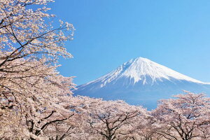 y{̕i|XgJ[hLac et Soleilz̐ςxmRƍ炫ւ̂͂nKL17 Be/YOSHIO IWASAWA