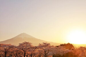 y{̕i|XgJ[hLac et Soleilz̐ςxmRƍ炫ւ̂͂nKL51 Be/YOSHIO IWASAWA