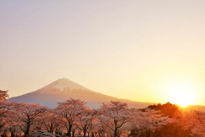 y{̕i|XgJ[hLac et Soleilz̐ςxmRƍ炫ւ̂͂nKL54 Be/YOSHIO IWASAWA