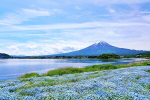 y{̕i|XgJ[hLac et SoleilzxmRƍLȃltB̂͂11nKLt Be/YOSHIO IWASAWA