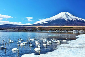 y{̕i|XgJ[hLac et Soleilz̕xmRƔ5̗t͂nKL Be/YOSHIO IWASAWA