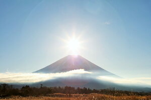 y{̕i|XgJ[hLac et Soleilz_ChxmixmRƑzj̗t͂nKL2 Be/YOSHIO IWASAWA