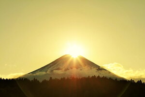 y{̕i|XgJ[hLac et Soleilz_ChxmixmRƑzj̗t͂nKL4 Be/YOSHIO IWASAWA