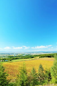 y{̕i|XgJ[hLac et SoleilzkC[sH̐Ɛ[̑n̗t2͂nKL Be/YOSHIO IWASAWA