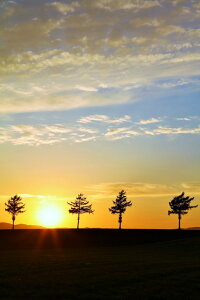 �y���{�̕��i�|�X�g�J�[�hLac et Soleil�z�k�C���ԑ��S��󒬃����w���̋u�@�H�̗[���̗t��2�͂����n�K�L �B�e/YOSHIO IWASAWA