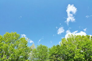 y{̕i|XgJ[hLac et SoleilzĂ̐ƐV΂̖1̂͂nKL Be/YOSHIO IWASAWA