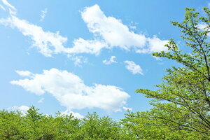 y{̕i|XgJ[hLac et SoleilzĂ̐ƐV΂̖3̂͂nKL Be/YOSHIO IWASAWA