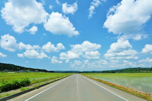 y{̕i|XgJ[hLac et SoleilzHc@Ɠ1̂͂nKL Be/YOSHIO IWASAWA