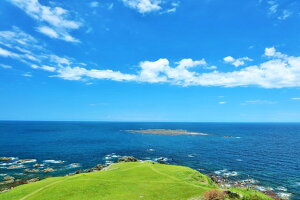 y{̕i|XgJ[hLac et SoleilzHc@̒j7̂͂nKL Be/YOSHIO IWASAWA