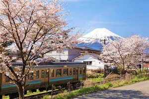 y{̕i|XgJ[hLac et SoleilzR@t̕xm}sƕxmR4̂͂nKLiyYɂj Be/YOSHIO IWASAWA