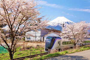 y{̕i|XgJ[hLac et SoleilzR@E353nxmVixm}sj2̂͂nKL(yYɂ) Be/YOSHIO IWASAWA