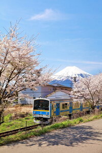 y{̕iS|XgJ[hLac et SoleilzR@t̕xm}sƕxmR8̂͂nKL(yYɂ) Be/YOSHIO IWASAWA