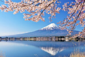 y{̕i|XgJ[hLac et SoleilzR@xmRƍ4̂͂nKL(yYɂ) Be/YOSHIO IWASAWA