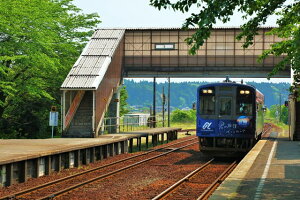 y{̕i|XgJ[hzΐ쌧@̂ƓSN͕یC\jA@\oŵ͂nKL1iyYɂj Be/YOSHIO IWASAWA