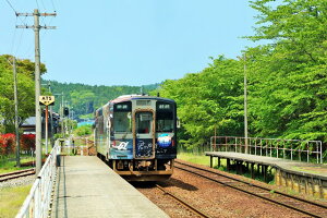 y{̕i|XgJ[hzΐ쌧@̂ƓSN͕یC\jA@\oŵ͂nKL2iyYɂj Be/YOSHIO IWASAWA