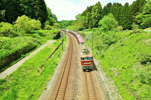 y{̕i|XgJ[hzΐ쌧S𑖂ݕԐV΂̒2025N̂͂nKL Be/YOSHIO IWASAWA