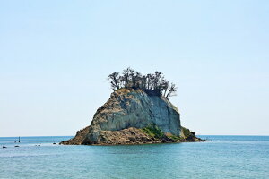 y{̕i|XgJ[hzΐ쌧@\o@̂͂nKL(yYɂ) Be/YOSHIO IWASAWA