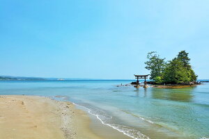 y{̕i|XgJ[hzΐ쌧@\o@HC݂ٓ̕V̒̂͂nKL5(yYɂ) Be/YOSHIO IWASAWA