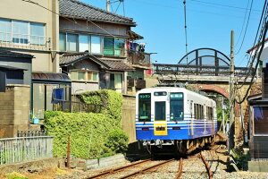 y{̕i|XgJ[hz䌧@SOMC5001`dԂ̂͂nKLiyYɂj Be/YOSHIO IWASAWA