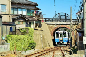 y{̕i|XgJ[hz䌧@SOMC5001`dԂ̂͂nKL2iyYɂj Be/YOSHIO IWASAWA