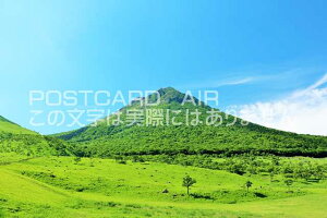 y{̃|XgJ[hAIRz啪@̗Rzx̂͂nKLt Be/YOSHIO IWASAWA