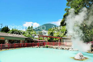 �y���{�̃|�X�g�J�[�hAIR�z�啪���@���܂ǒn���̂͂����n�K�L�t�� �B�e/YOSHIO IWASAWA