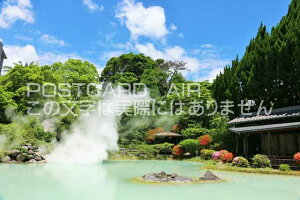 �y���{�̃|�X�g�J�[�hAIR�z�啪���@���r�n���̂͂����n�K�L�t�� �B�e/YOSHIO IWASAWA