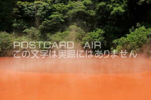 �y���{�̃|�X�g�J�[�hAIR�z�啪���@���̒r�n���̂͂����n�K�L�t�� �B�e/YOSHIO IWASAWA