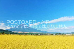 y{̕i|XgJ[hAIRzÉxmRƓcڂ̂͂nKLt Be/YOSHIO IWASAWA